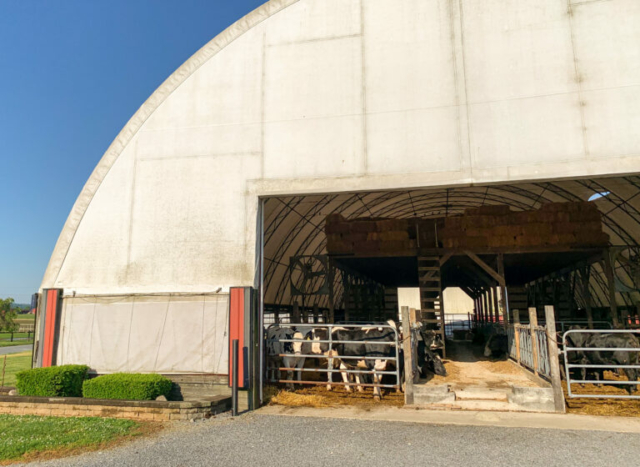 fabric roof structures for sale in